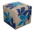 Fauna Cube