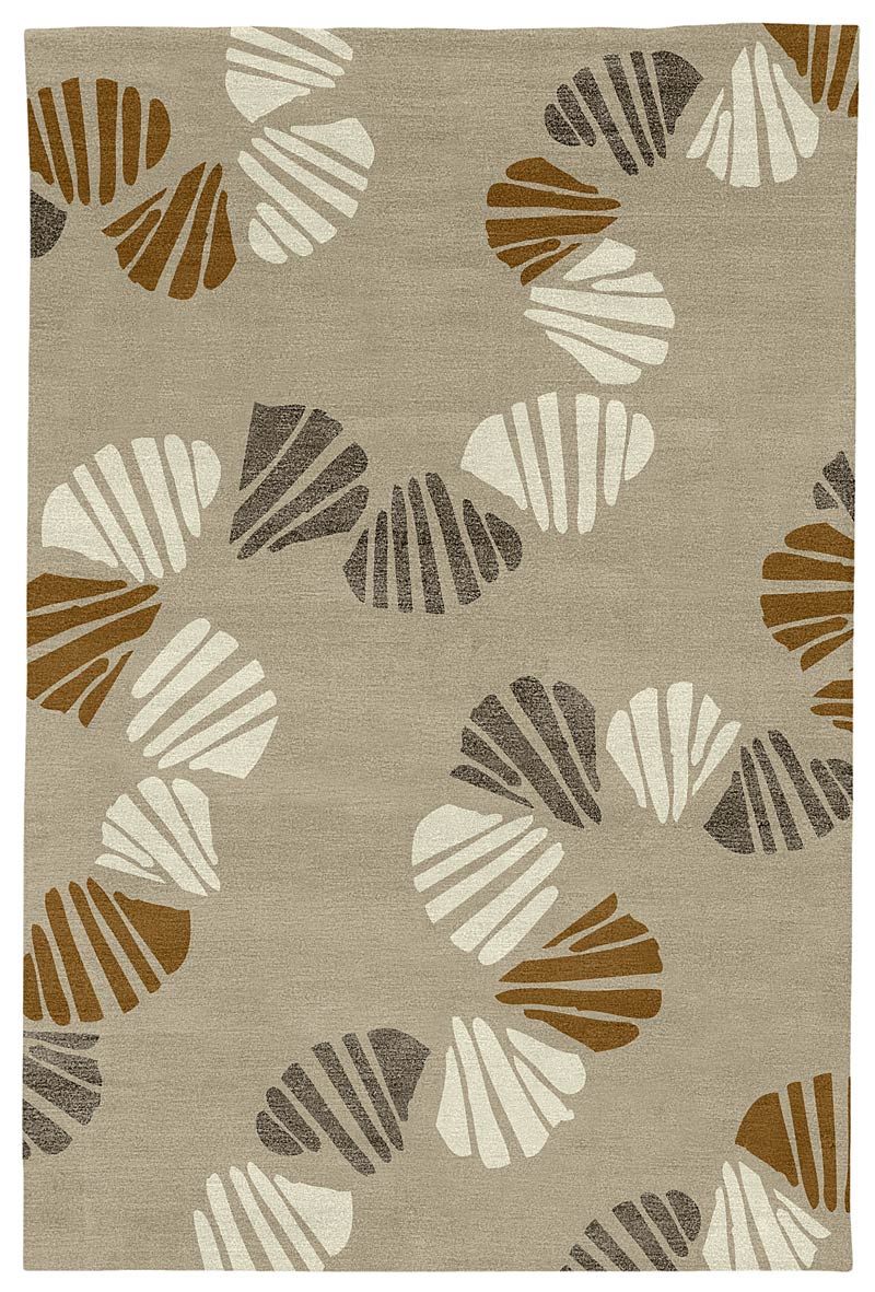 Shells